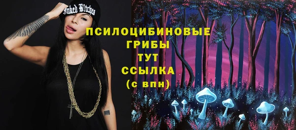 дурь Балахна