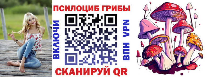 где купить наркоту  Заинск  Псилоцибиновые грибы GOLDEN TEACHER 
